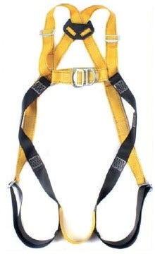 Afbeelding 5270186.jpg