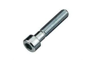 Afbeelding 6200630.jpg